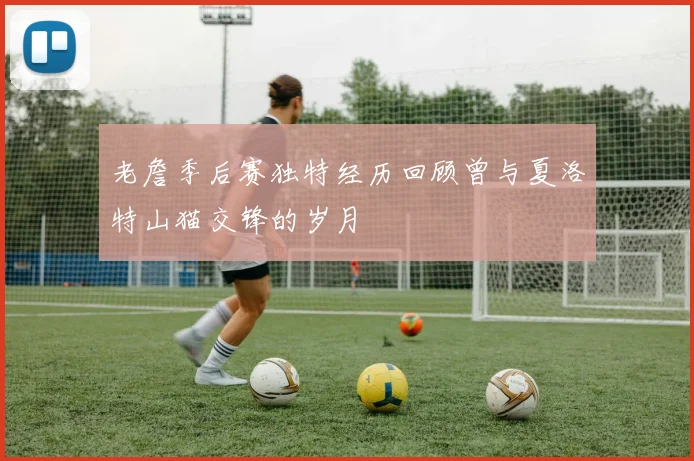老詹季后赛独特经历回顾曾与夏洛特山猫交锋的岁月