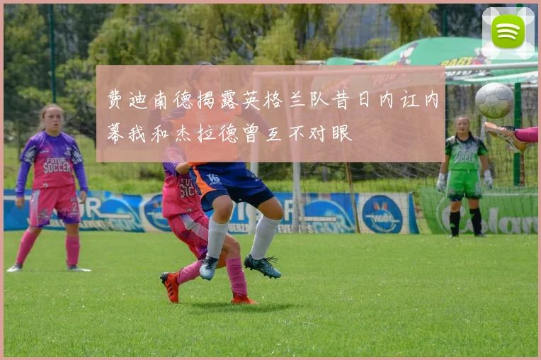 费迪南德揭露英格兰队昔日内讧内幕我和杰拉德曾互不对眼
