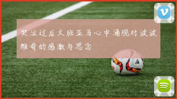 哭泣过后文班亚马心中涌现对波波维奇的感激与思念